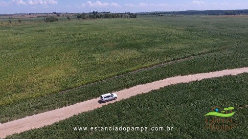 Marcello Caminha - Céu, Sol, Sul, Terra e Cor VDownloader.00_01_26_15.Quadro004_0b423399363ea9b6defea538411cc59a11a2c571.jpg